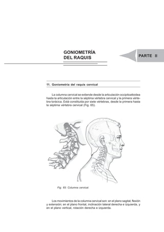 PARTE II. GONIOMETRÍA DEL RAQUIS 55
GONIOMETRÍA
DEL RAQUIS PARTE II
11. Goniometría del raquis cervical
La columna cervical se extiende desde la articulación occipitoatloidea
hasta la articulación entre la séptima vértebra cervical y la primera vérte-
bra torácica. Está constituida por siete vértebras, desde la primera hasta
la séptima vértebra cervical (Fig. 65).
Fig. 65: Columna cervical.
Los movimientos de la columna cervical son: en el plano sagital, flexión
y extensión; en el plano frontal, inclinación lateral derecha e izquierda, y
en el plano vertical, rotación derecha e izquierda.
 