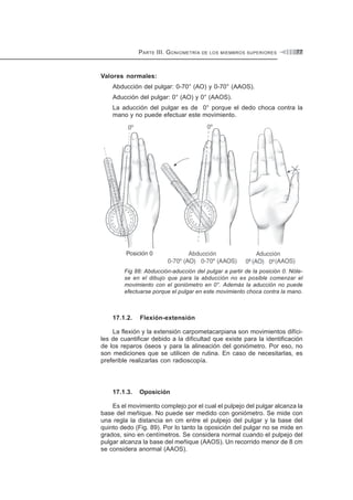 PARTE III. GONIOMETRÍA DE LOS MIEMBROS SUPERIORES 77
Valores normales:
Abducción del pulgar: 0-70° (AO) y 0-70° (AAOS).
Aducción del pulgar: 0° (AO) y 0° (AAOS).
La aducción del pulgar es de 0° porque el dedo choca contra la
mano y no puede efectuar este movimiento.
Fig 88: Abducción-aducción del pulgar a partir de la posición 0. Nóte-
se en el dibujo que para la abducción no es posible comenzar el
movimiento con el goniómetro en 0°. Además la aducción no puede
efectuarse porque el pulgar en este movimiento choca contra la mano.
17.1.2. Flexión-extensión
La flexión y la extensión carpometacarpiana son movimientos difíci-
les de cuantificar debido a la dificultad que existe para la identificación
de los reparos óseos y para la alineación del goniómetro. Por eso, no
son mediciones que se utilicen de rutina. En caso de necesitarlas, es
preferible realizarlas con radioscopía.
17.1.3. Oposición
Es el movimiento complejo por el cual el pulpejo del pulgar alcanza la
base del meñique. No puede ser medido con goniómetro. Se mide con
una regla la distancia en cm entre el pulpejo del pulgar y la base del
quinto dedo (Fig. 89). Por lo tanto la oposición del pulgar no se mide en
grados, sino en centímetros. Se considera normal cuando el pulpejo del
pulgar alcanza la base del meñique (AAOS). Un recorrido menor de 8 cm
se considera anormal (AAOS).
 
