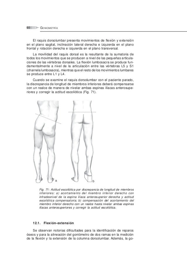 Goniometria