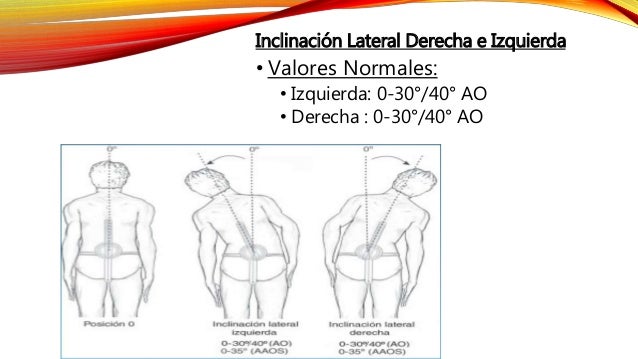 Goniometr a goniometr-a
