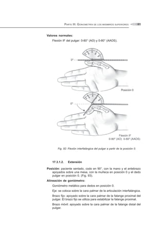 P ARTE III. G ONIOMETRÍA

DE LOS MIEMBROS SUPERIORES

81

Valores normales:
Flexión IF del pulgar: 0-80° (AO) y 0-80° (AAOS).

Fig. 92: Flexión interfalángica del pulgar a partir de la posición 0.

17.3.1.2.

Extensión

Posición: paciente sentado, codo en 90°, con la mano y el antebrazo
apoyados sobre una mesa, con la muñeca en posición 0 y el dedo
pulgar en posición 0. (Fig. 93).
Alineación de goniómetro:
Goniómetro metálico para dedos en posición 0.
Eje: se coloca sobre la cara palmar de la articulación interfalángica.
Brazo fijo: apoyado sobre la cara palmar de la falange proximal del
pulgar. El brazo fijo se utiliza para estabilizar la falange proximal.
Brazo móvil: apoyado sobre la cara palmar de la falange distal del
pulgar.

 