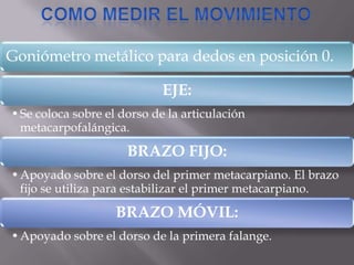 Goniómetro metálico para dedos en posición 0.
EJE:
•Se coloca sobre el dorso de la articulación
metacarpofalángica.
BRAZO FIJO:
•Apoyado sobre el dorso del primer metacarpiano. El brazo
fijo se utiliza para estabilizar el primer metacarpiano.
BRAZO MÓVIL:
•Apoyado sobre el dorso de la primera falange.
 