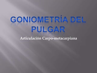 Articulación Carpo-metacarpiana
 