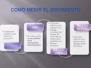 • Goniómetro
metálico para
dedos en
posición 0.
• Se coloca sobre
la cara palmar
de la
articulación
interfalángica.
EJE:
• Apoyado
sobre la cara
palmar de la
falange
proximal del
pulgar. El
brazo fijo se
utiliza para
estabilizar la
falange
proximal.
BRAZO
FIJO:
• Apoyado
sobre la cara
palmar de la
falange distal
del pulgar.
BRAZO
MÓVIL:
 