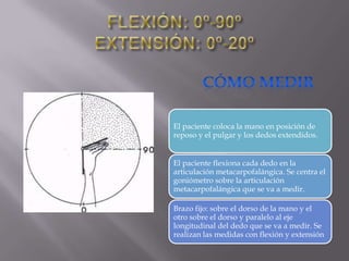 El paciente coloca la mano en posición de
reposo y el pulgar y los dedos extendidos.
El paciente flexiona cada dedo en la
articulación metacarpofalángica. Se centra el
goniómetro sobre la articulación
metacarpofalángica que se va a medir.
Brazo fijo: sobre el dorso de la mano y el
otro sobre el dorso y paralelo al eje
longitudinal del dedo que se va a medir. Se
realizan las medidas con flexión y extensión
 