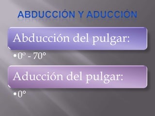 Abducción del pulgar:
•0º - 70°
Aducción del pulgar:
•0°
 