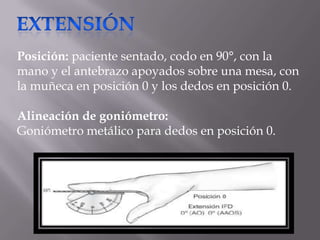 Posición: paciente sentado, codo en 90°, con la
mano y el antebrazo apoyados sobre una mesa, con
la muñeca en posición 0 y los dedos en posición 0.
Alineación de goniómetro:
Goniómetro metálico para dedos en posición 0.
 