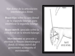 Eje: dorso de la articulación
interfalángica distal.
Brazo fijo: sobre la cara dorsal
de la segunda falange, para
estabilizar la segunda falange.
Brazo móvil: apoyado sobre la
cara dorsal de la tercera falange.
Movimiento: se procede a
efectuar la flexión interfalángica
distal. El brazo móvil del
goniómetro acompaña el
movimiento
 