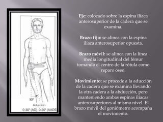 Eje: colocado sobre la espina ilíaca
anterosuperior de la cadera que se
examina.
Brazo fijo: se alinea con la espina
ilíaca anterosuperior opuesta.
Brazo móvil: se alinea con la línea
media longitudinal del fémur
tomando el centro de la rótula como
reparo óseo.
Movimiento: se procede a la aducción
de la cadera que se examina llevando
la otra cadera a la abducción, pero
manteniendo ambas espinas ilíacas
anterosuperiores al mismo nivel. El
brazo móvil del goniómetro acompaña
el movimiento.
 