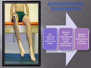 EJE:
Colocado
sobre el
centro de la
rótula.
BRAZO
FIJO:
Alineado con
la línea
media
longitudinal
de la pierna.
BRAZO
MÓVIL:
Superpuesto
sobre el
brazo fijo.
 