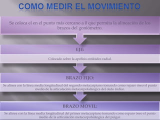 BRAZO MÓVIL:
Se alinea con la línea media longitudinal del primer metacarpiano tomando como reparo óseo el punto
medio de la articulación metacarpofalángica del pulgar.
BRAZO FIJO:
Se alinea con la línea media longitudinal del segundo metacarpiano tomando como reparo óseo el punto
medio de la articulación metacarpofalángica del dedo índice.
EJE:
Colocado sobre la apófisis estiloides radial.
Se coloca el en el punto más cercano a 0 que permita la alineación de los
brazos del goniómetro.
 