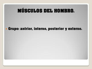 MÚSCULOS DEL HOMBRO.



Grupo: antrior, interno, posterior y externo.

 
