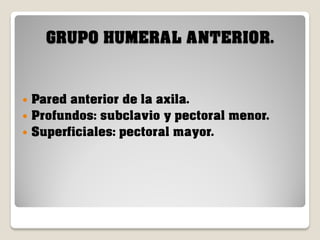 GRUPO HUMERAL ANTERIOR.

Pared anterior de la axila.
 Profundos: subclavio y pectoral menor.
 Superficiales: pectoral mayor.


 