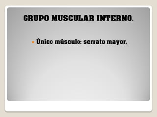 GRUPO MUSCULAR INTERNO.


Único músculo: serrato mayor.

 
