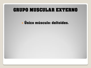 GRUPO MUSCULAR EXTERNO


Único músculo: deltoides.

 