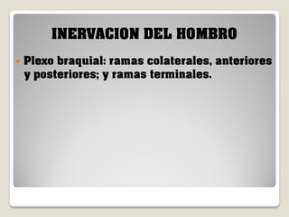 INERVACION DEL HOMBRO


Plexo braquial: ramas colaterales, anteriores
y posteriores; y ramas terminales.

 