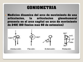 GONIOMETRIA


Medicion dinamica del arco de movimiento de una
articulacion,
la
articulacion
glenohumeral
presenta en el arco sagital un arco de movimiento
de 240( 180 flexion mas 60 de extension)

 