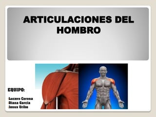 ARTICULACIONES DEL
HOMBRO

EQUIPO:
•Lucero Corona
•Diana Garcia
•Jesus Uribe

 