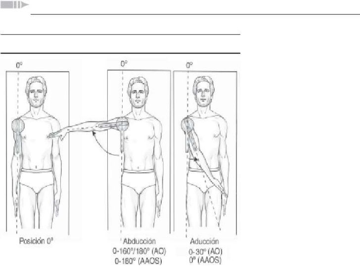 Goniometria miembro superior e inferior (2)