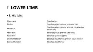 Comprehensive Guide to Range of Motion in Upper and Lower Limbs | PPTX