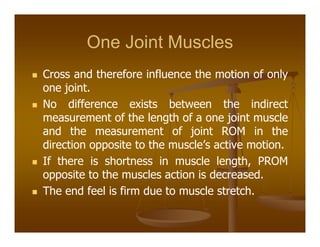 One Joint Muscles
Cross and therefore influence the motion of only
one joint.
No difference exists between the indirect
measurement of the length of a one joint muscle
and the measurement of joint ROM in the
direction opposite to the muscle’s active motion.
If there is shortness in muscle length, PROM
opposite to the muscles action is decreased.
The end feel is firm due to muscle stretch.
 