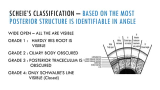 Scheie Classification System goniosc64tgy3dcde ew2tggdsexseopy-1.pptx