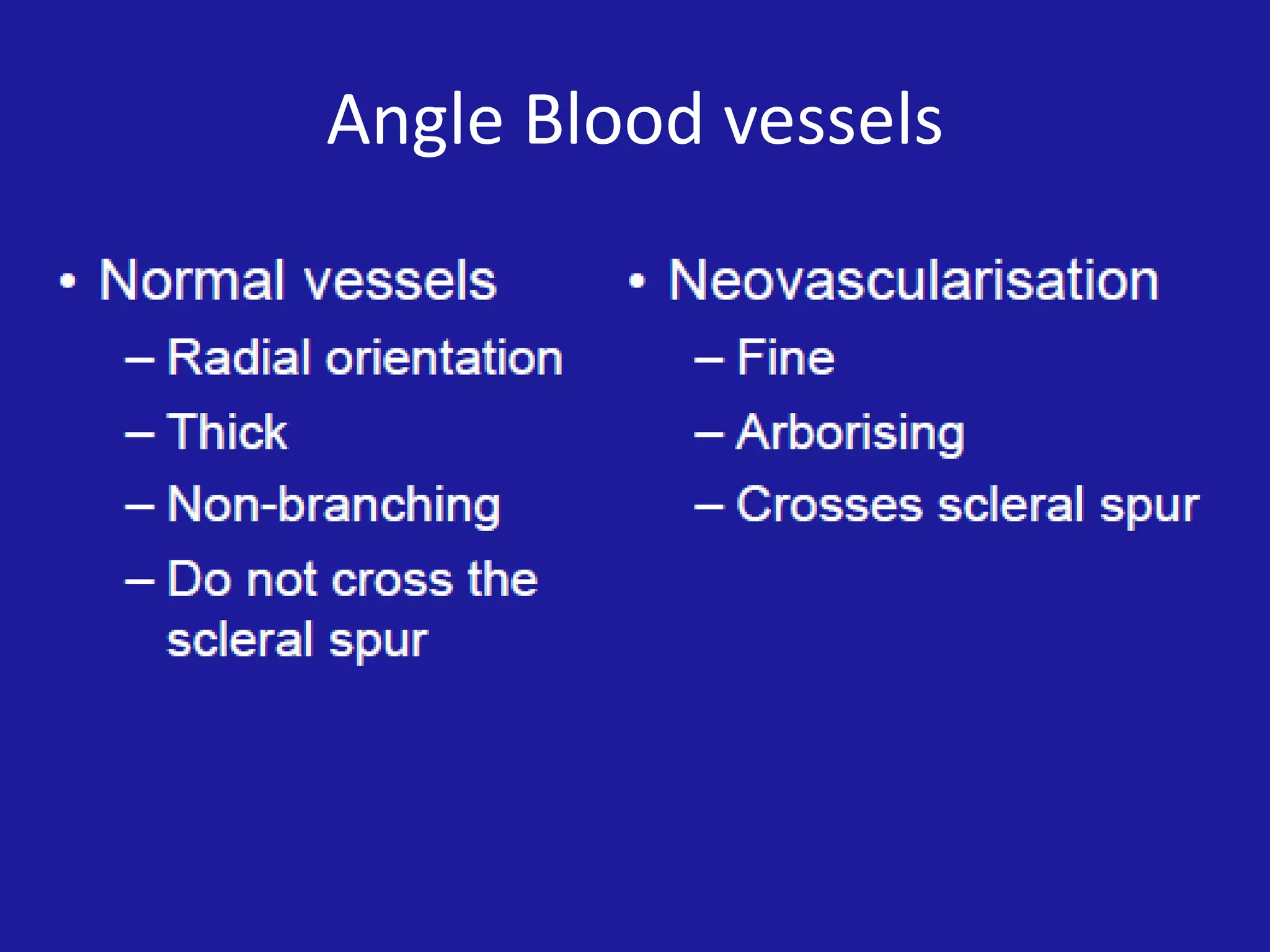 Angle Blood vessels

 