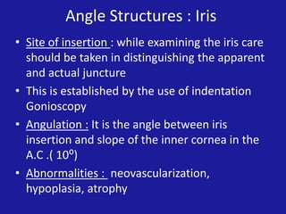 Angle Structures : Iris
• Site of insertion : while examining the iris care
should be taken in distinguishing the apparent
and actual juncture
• This is established by the use of indentation
Gonioscopy
• Angulation : It is the angle between iris
insertion and slope of the inner cornea in the
A.C .( 10⁰)
• Abnormalities : neovascularization,
hypoplasia, atrophy

 
