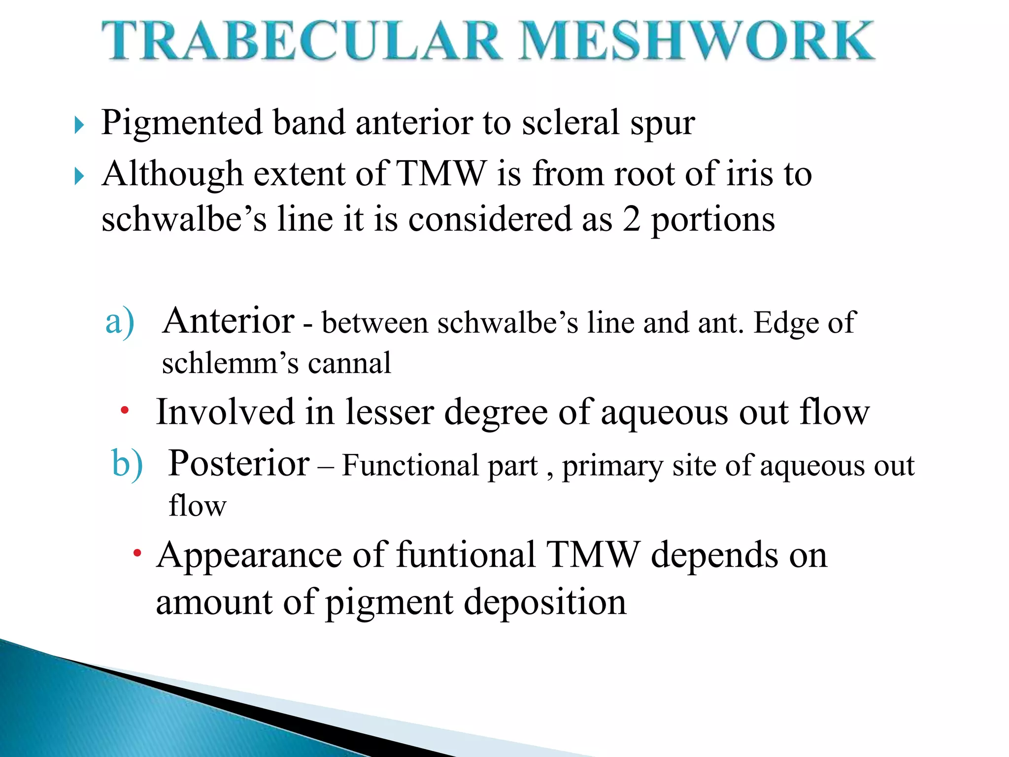  Pigmented band anterior to scleral spur
 Although extent of TMW is from root of iris to
schwalbe’s line it is considered as 2 portions
a) Anterior - between schwalbe’s line and ant. Edge of
schlemm’s cannal
 Involved in lesser degree of aqueous out flow
b) Posterior – Functional part , primary site of aqueous out
flow
 Appearance of funtional TMW depends on
amount of pigment deposition
 