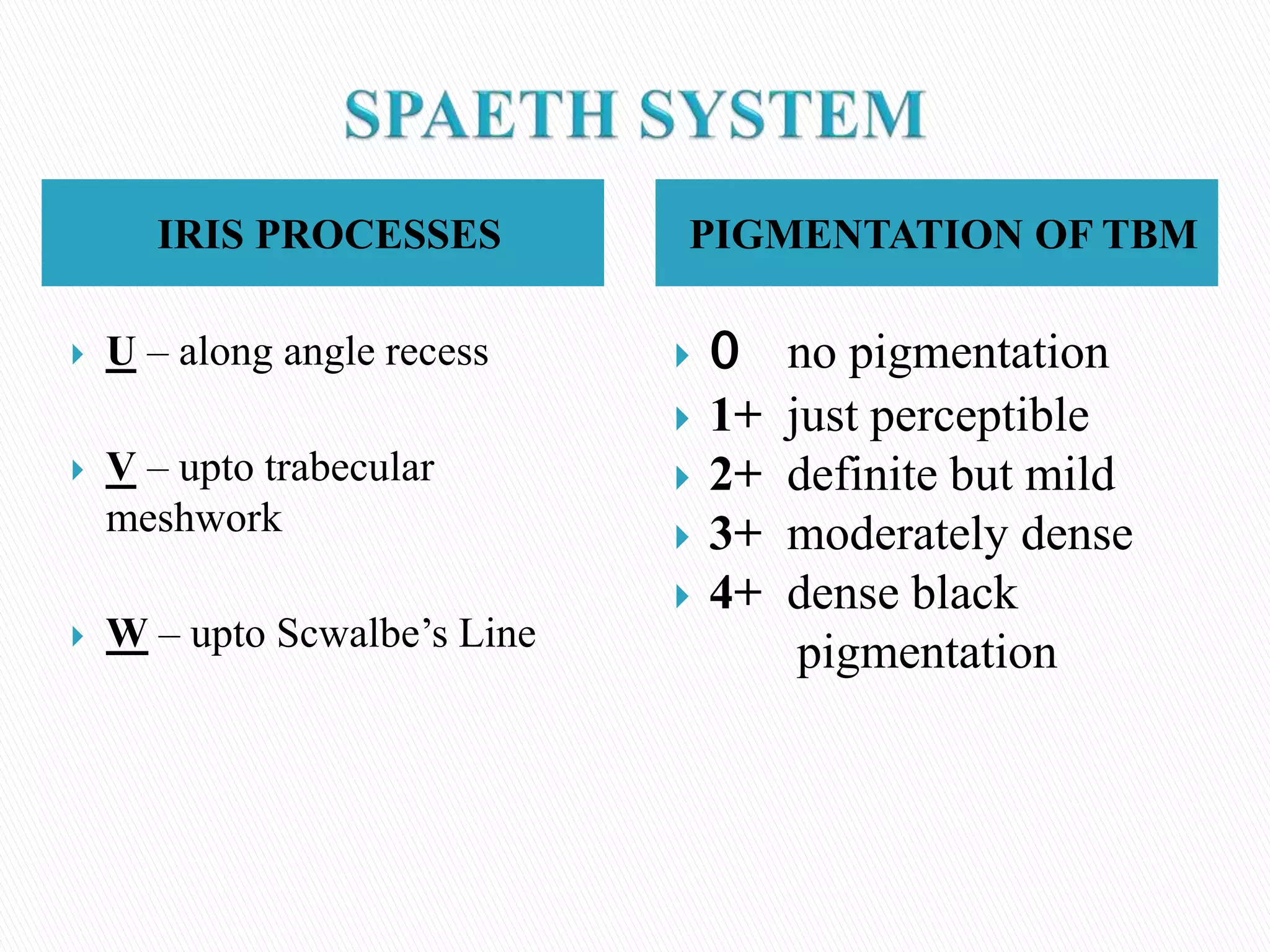 IRIS PROCESSES PIGMENTATION OF TBM
 U – along angle recess
 V – upto trabecular
meshwork
 W – upto Scwalbe’s Line
 0 no pigmentation
 1+ just perceptible
 2+ definite but mild
 3+ moderately dense
 4+ dense black
pigmentation
 