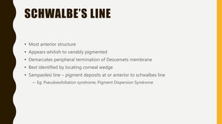 SCHWALBE’S LINE
• Most anterior structure
• Appears whitish to variably pigmented
• Demarcates peripheral termination of Descemets membrane
• Best identified by locating corneal wedge
• Sampaolesi line – pigment deposits at or anterior to schwalbes line
– Eg: Pseudoexfoliation syndrome, Pigment Dispersion Syndrome
 