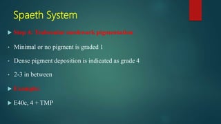 Gonioscopy | PPTX