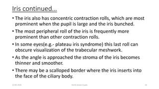 Iris continued…
• The iris also has concentric contraction rolls, which are most
prominent when the pupil is large and the iris bunched.
• The most peripheral roll of the iris is frequently more
prominent than other contraction rolls.
• In some eyes(e.g.- plateau iris syndrome) this last roll can
obscure visualization of the trabecular meshwork.
• As the angle is approached the stroma of the iris becomes
thinner and smoother.
• There may be a scalloped border where the iris inserts into
the face of the ciliary body.
13-03-2020 Kartik Kumar Gupta 10
 