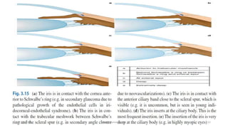 13-03-2020 Kartik Kumar Gupta 12
 