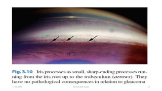 13-03-2020 Kartik Kumar Gupta 13
 