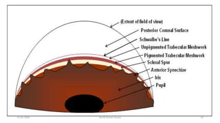 13-03-2020 Kartik Kumar Gupta 14
 