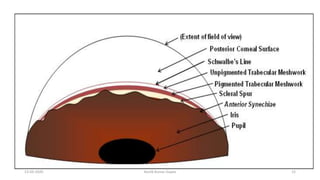 13-03-2020 Kartik Kumar Gupta 15
 