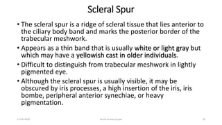 Scleral Spur
• The scleral spur is a ridge of scleral tissue that lies anterior to
the ciliary body band and marks the posterior border of the
trabecular meshwork.
• Appears as a thin band that is usually white or light gray but
which may have a yellowish cast in older individuals.
• Difficult to distinguish from trabecular meshwork in lightly
pigmented eye.
• Although the scleral spur is usually visible, it may be
obscured by iris processes, a high insertion of the iris, iris
bombe, peripheral anterior synechiae, or heavy
pigmentation.
13-03-2020 Kartik Kumar Gupta 18
 