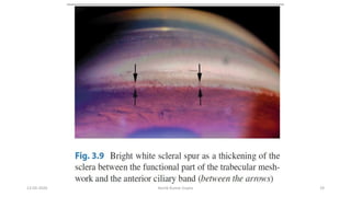 13-03-2020 Kartik Kumar Gupta 19
 