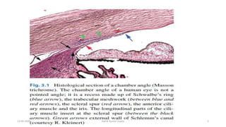 13-03-2020 Kartik Kumar Gupta 2
 