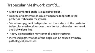 Trabecular Meshwork cont’d…
• A non-pigmented angle is a pale gray color .
• Trabecular pigmentation usually appears deep within the
posterior trabecular meshwork.
• Sometimes pigment is deposited on the surface of the posterior
trabecular meshwork or over the anterior trabecular meshwork
and Schwalbe’s line.
• Heavy pigmentation may cover all angle structures.
• Increased pigmentation of the angle can be caused by many
pathological processes.
13-03-2020 Kartik Kumar Gupta 21
 