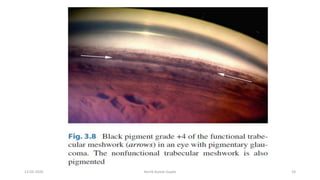 13-03-2020 Kartik Kumar Gupta 24
 