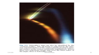 13-03-2020 Kartik Kumar Gupta 28
 