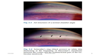 13-03-2020 Kartik Kumar Gupta 29
 