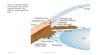 13-03-2020 Kartik Kumar Gupta 3
 
