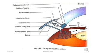 13-03-2020 Kartik Kumar Gupta 4
 