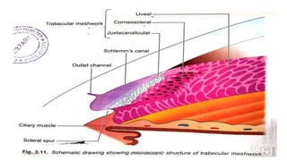 13-03-2020 Kartik Kumar Gupta 5
 