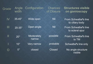 Grade Angle
width
Configuration Chances
of Closure
Structures visible
on gonioscopy
IV 35-45° Wide open Nil
III 20-35° Open angle Nil
From Schwalbe’s line
to ciliary body
From Schwalbe’s line
to scleral spur
II 20° possible
10°
Moderately
narrow
Very narrow probable
I
O 0° closed Closed
From Schwalbe’s line
to TM
Schwalbe’s line only
No angle structure
visible
 