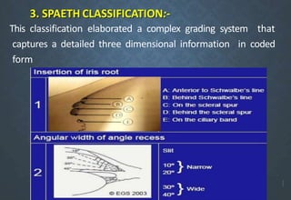 3. SPAETH CLASSIFICATION:-
This classification elaborated a complex grading system that
captures a detailed three dimensional information in coded
form
 