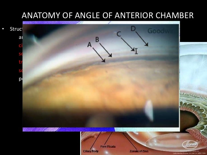 Gonioscopy